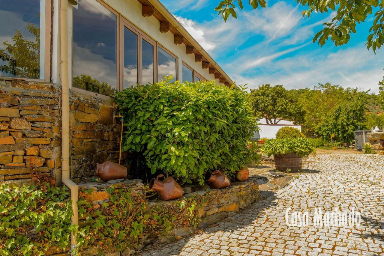 Гостевой дом Casa Machado Браганса Экстерьер фото
